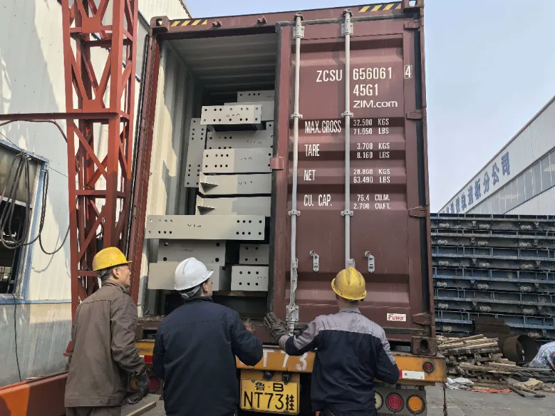 Comhpháirteanna Struchtúr Cruach le haghaidh Tionscadal Stórais Cruach ar Mhórscála sa tSile a Sheoladh go rathúil, ag Tacú le Tógáil Mol Lóistíochta Áitiúil